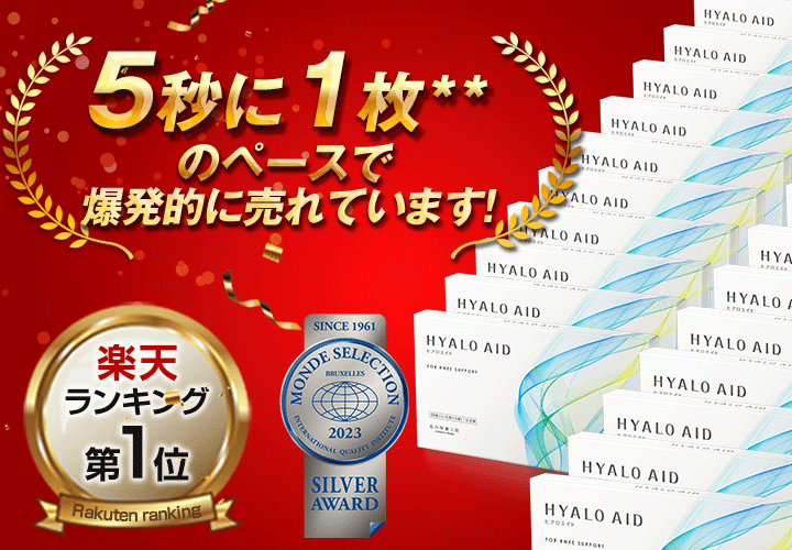 5秒に1枚売れているヒアロエイド