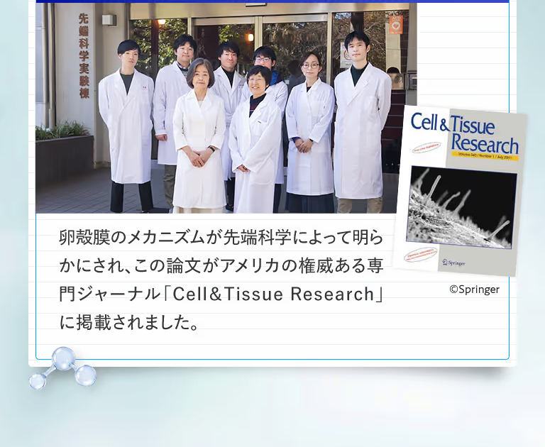 卵殻膜のメカニズムが先端科学によって明らかにされ、この論文がアメリカの権威ある専門ジャーナル「Cell&Tissue Research」に掲載されました。