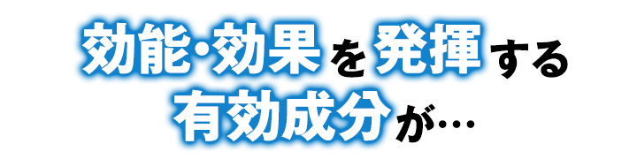 効能・効果を発揮する有効成分が