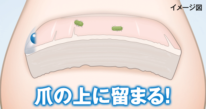 有効成分が爪の上に留まる