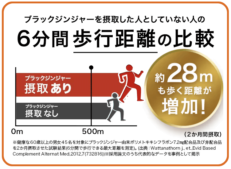 ブラックジンジャーを摂取した人としてない人の歩行距離の比較