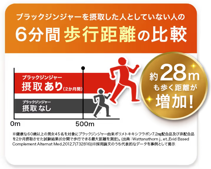 ブラックジンジャーを摂取した人は、してない人と比較して約28mも歩く距離が増加。