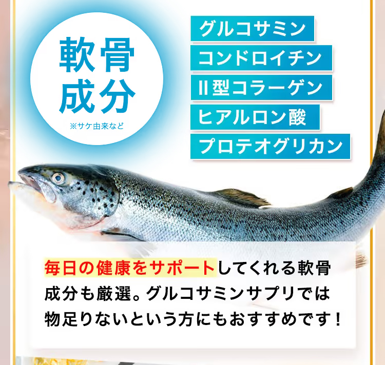 ブラックジンジャーには、グルコサミン、コンドロイチン、Ⅱ型コラーゲン、ヒアルロン酸、プロテオグリカンなど軟骨成分が豊富