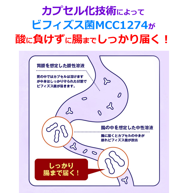 ビフィズス菌MCC1274が酸に負けず超まで届く。