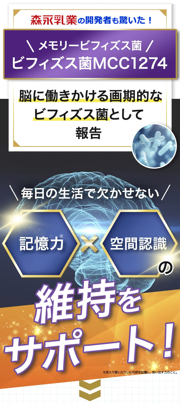 記憶力、空間認識力の維持にビフィズス菌MCC1274