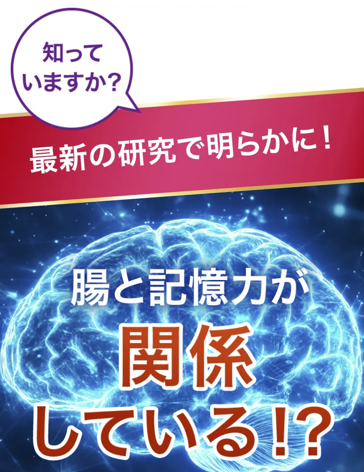腸と記憶力が関係している!?