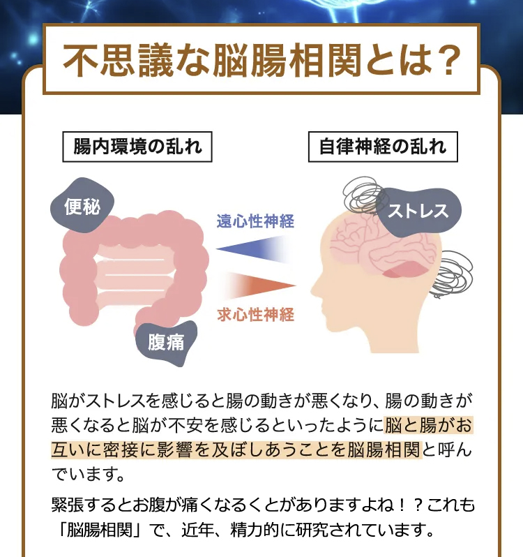不思議な脳腸相関とは?