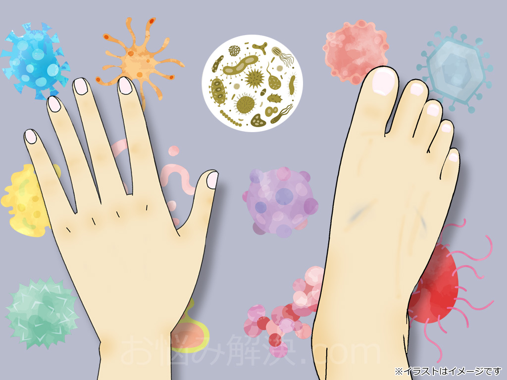 手の爪や足の爪の周りにはたくさんの水虫菌や白癬菌などが存在