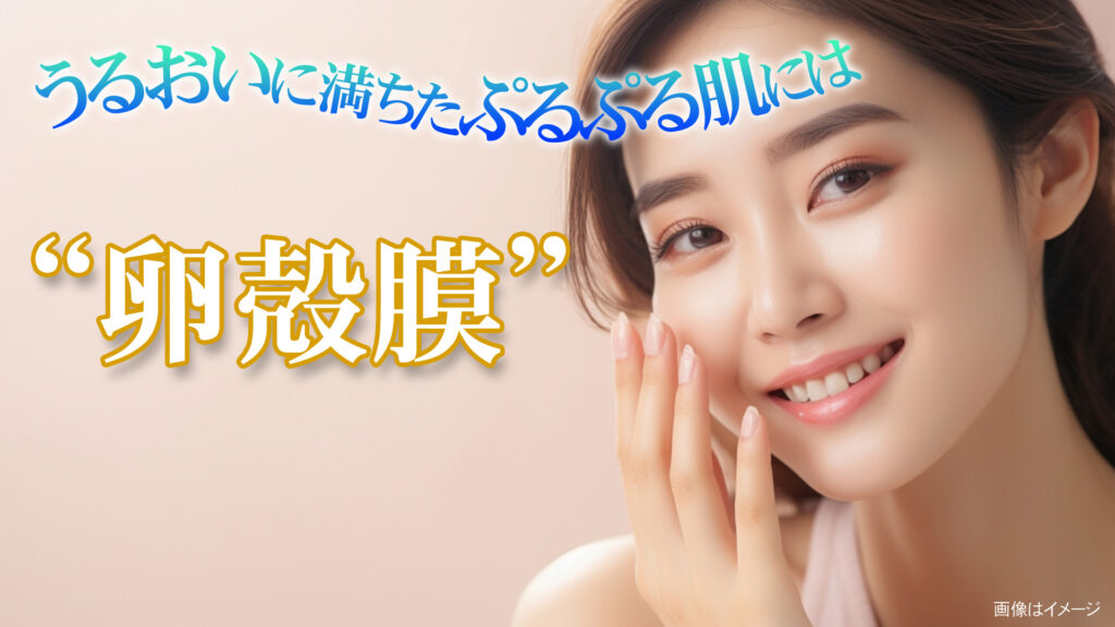 うるおいに満ちたぷるぷる肌には卵殻膜